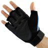 Allextreme Multipurpose Half Finger Fitness Gloves for Weightlifting Exercise, Cycling Sports (Blue, Large)