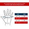 Allextreme Bike Racing Half Finger Gloves Soft, Large & Breathable Design Ideal for Biking & Gyming (Black)