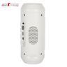 Allextreme Q610 Multimedia Portable Bluetooth Speaker USB/TF Card Play Subwoofer Powerful Sound Multifunction Portable Bluetooth Wireless Stereo Music Speaker for Smartphone and Laptop (Q610)