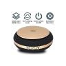 AllExtreme AE-X02 Portable Mini Travel USB Car Air Purifier Negative Ions Ionizer Air-Freshener with HEPA Filter to Remove Odor Smell Bacteria and Allergen (4.2W)