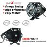 Allextreme EXFLTPL2 U11 CREE LED Fog Light Universal Waterproof Projector Lamp with Dual Ring for Car, Motorcycle and Bikes (Pack of 2)