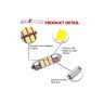 AllExtreme EXTSD1W 12 LED Universal Car Interior Super Bright Roof Light Reading Dome Bulb Lamp with Festoon Holder (6W, White, 1 Pc)