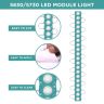 AllExtreme EXM1ILG 1 LED Module Light Interior Exterior 12V 5730 Injection Decorative Lamp with Adhesive Backside for Car, Home & Decoration (20 Strips, Green)