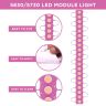 AllExtreme EXMI1LP 1 LED Module Light Interior Exterior 12V 5730 Injection Decorative Lamp with Adhesive Backside for Car, Home & Decoration (20 Strips, Pink)