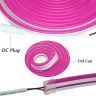 Allextreme AXNLED1 Neon LED Flexible Strip Light 12V Decorative Interior Exterior Car Truck Styling EL Wire Glow String Tube (Pink, 5M)