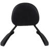 AllExtreme EXRBS01 Heavy Duty Bike Backrest Fit Passenger Rear Seat Back Support Rest Adjustable Compatible with Royal Enfield Reborn (Black)