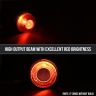 Allextreme EXTLA01 Bike Customized LED Tail Light Motorcycle Number Plate Brake Rear Lamp Compatible with Classic 350 Reborn- RED