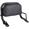 Allextreme EURO Detachable Passenger Backrest Rear Pad Adjustable Sissy Bar Cushion Corrosion Resistant Cushion Pad Seat Compatible with Ola - Black