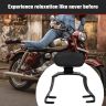 AllExtreme Euro J15 Backrest for Bike Back Comfortable Cushion Support Pillion Heavy Duty Black Bar Compatible With Jawa (Black)