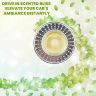 AllExtreme Car AC Vent Perfume Musk Flakes Fragrance Air Freshemer with Extra Liquid Scent Long Lasting Aromatherapy Diffuser for Interior Car Accessories