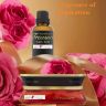 AllExtreme Treasure Car Perfume Diffuser with Essential Oil Dashboard Vent Liquid Clip Freshener Starter Kit- Rose, Pack of 1