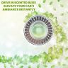 AllExtreme Car AC Vent Perfume Furious Lombo Fragrance Air Freshemer with Extra Liquid Scent Long Lasting Aromatherapy Diffuser for Interior Car Accessories