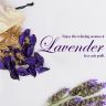 Allextreme Hanging Husk Bag Car Perfume Scent - Lyrical Lavender Fragrance for 30 Days Air Freshener Interior Car-Accessories with Diffuser Essential Oil Aroma Grains and Flakes (Set of 1, 50g)