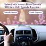 Allextreme Hanging Husk Bag Car Perfume Scent - Lyrical Lavender Fragrance for 30 Days Air Freshener Interior Car-Accessories with Diffuser Essential Oil Aroma Grains and Flakes (Set of 1, 50g)
