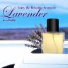 Allextreme Hanging Car Perfume Spray with Card Scent - Lyrical Lavender Fragrance 600 Sprays for 90 days Air Freshener Interior Diffuser Car-Accessories Essential Oil Aroma (Set of 1, 50ml)