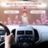 Allextreme Hanging Car Perfume Pods Diffuser Scent - Rare Rose Fragrance for 45 Days Interior Car-Accessories Air Freshener with Essential Oil Aroma (Set of 1, 10 ml)