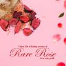Allextreme Hanging Husk Bag Car Perfume Scent - Rare Rose Fragrance for 30 Days Air Freshener Interior Car-Accessories with Diffuser Essential Oil Aroma Grains and Flakes (Set of 1, 50g)