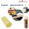 Clean Cham EXSCT1M