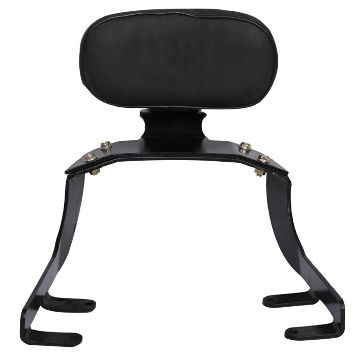 AllExtreme Euro J15 Backrest for Bike Back Comfortable Cushion Support Pillion Heavy Duty Black Bar Compatible With Jawa (Black)
