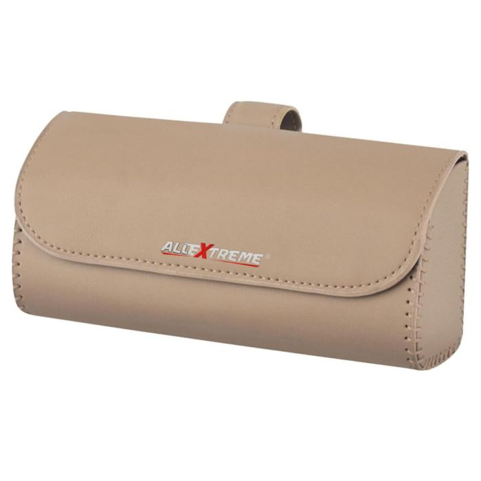 Allextreme Unisex Portable Magnetic Hard Shell Organizer Box Storage Pouch Protective Travel Spectacle Holder Specs Case Goggles Cover for Eyewear and Sunglasses (EX-SH01)