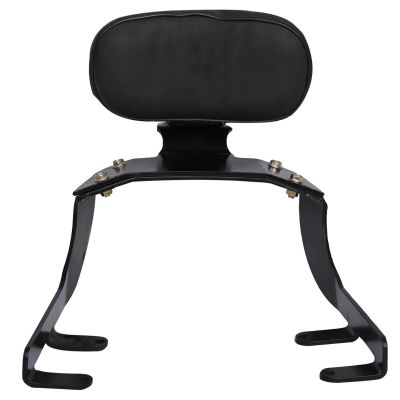 AllExtreme Euro J15 Backrest for Bike Back Comfortable Cushion Support Pillion Heavy Duty Black Bar Compatible With Jawa (Black)
